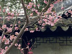 -沧浪亭