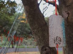 -西湖风景区十里琅珰-五云山