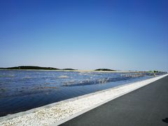 -南大港湿地风景区