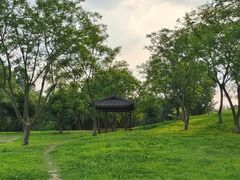 -白鹭湾湿地公园