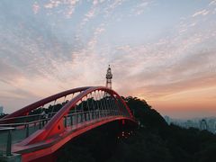 -金鸡山公园