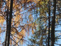 -硗碛藏寨·神木垒景区