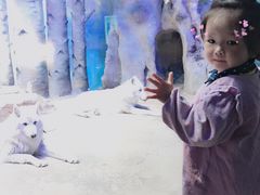 -芜湖新华联大白鲸海洋公园