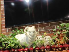 -草原塞蛮羊火锅城(港湾店)