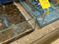 -陈先进鱼馆·地道农家菜(萧山奥体店)
