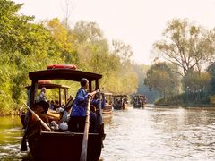 -溱湖国家湿地公园