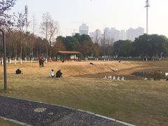 景点-后襄河公园