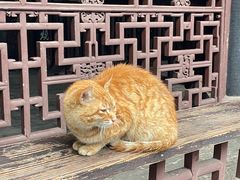 -惠山古镇·寄畅园