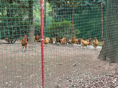 -陶然居·重庆菜(生态园店)