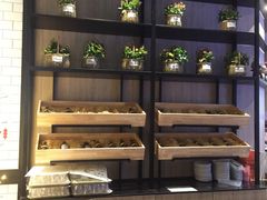 -西堤牛排(合肥之心城店)