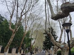 -泸溪河桃酥(秦淮夫子庙一店)