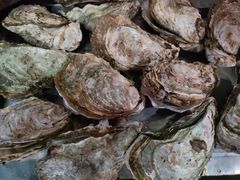 -蚝哥花姐湛江烤生蚝(美丽湾市场店)