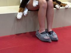-和它·交个朋友·狗咖猫咖(爱琴海店)