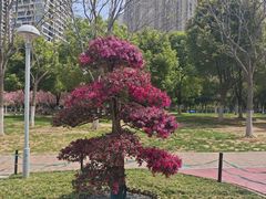 -梅州天地人花园酒店(梅县人民广场店)