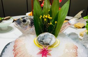 Golden Head Sea Bream