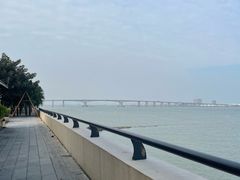 -大湾区中央湿地公园