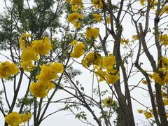 -府河摄影公园