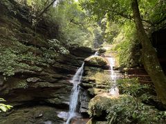 -碧峰峡风景区