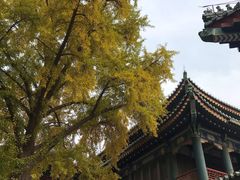 -国家图书馆·古籍馆