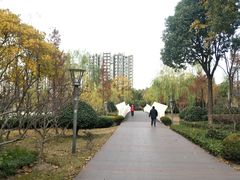 -南翔镇银翔湖公园
