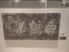 -白鹤梁水下博物馆