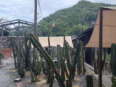 -MOJ coffee(瓯海泽雅水碓坑店)