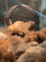 -Zoolung Zoolung动物主题公园(海信广场店)