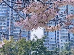 -红星桥(地铁站)