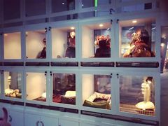-1013 PET SHOP 宠物商店(近铁城市广场店)