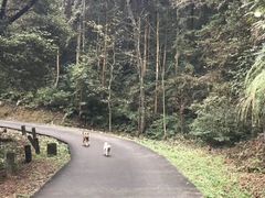 -九曲溪竹筏码头