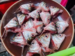 鲮鱼头-章记正宗南岗鱼蛋火锅