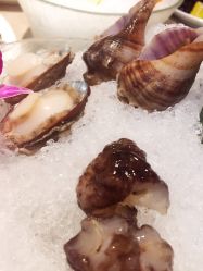 -国惠大酒楼(爱琴海购物公园店)