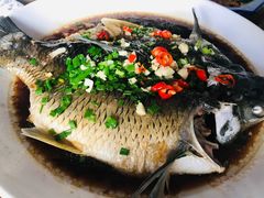 清蒸活鱼-原味缘菜馆