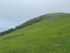 -大姆山草场