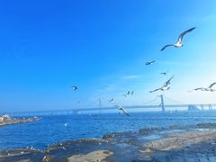 -星海广场
