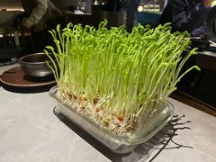 -罗勒家·养生火锅· Bistro(大望路店)