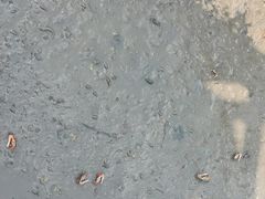 -北海金海湾红树林生态旅游区