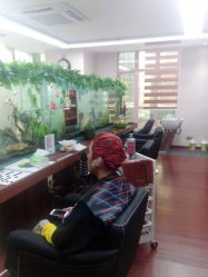 闺蜜染了-小左美发