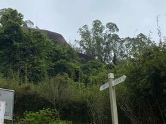 -火炉山森林公园