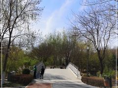 -大兴滨河森林公园