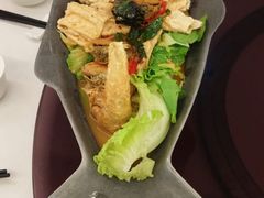 -常悦素食