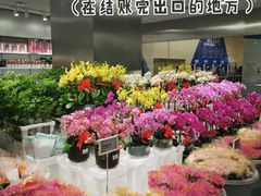 -盒马X会员店(王府井奥莱UP TOWN店)