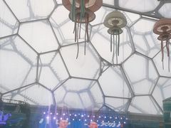 -水立方嬉水乐园