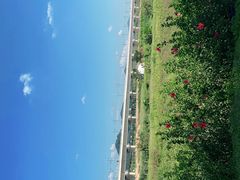 -光明小镇欢乐田园
