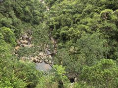 -海南热带雨林国家公园吊罗山景区