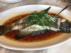 金银深海龙趸鱼-陶陶居酒家(海岸城店)