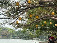 -江心屿景区