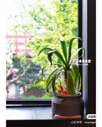 -J Eleven型人坊旗舰店