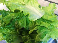 生菜-鑫龙火锅城(嘉汇广场店)