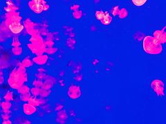 -波塞冬旅游度假区